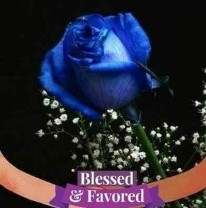 Meet your Posher, Monique